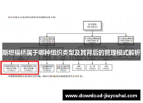 斯坦福桥属于哪种组织类型及其背后的管理模式解析