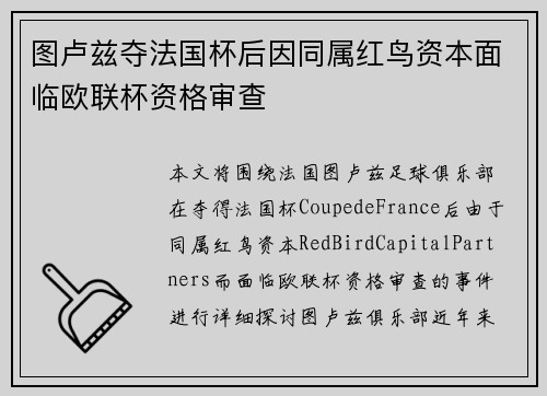 图卢兹夺法国杯后因同属红鸟资本面临欧联杯资格审查